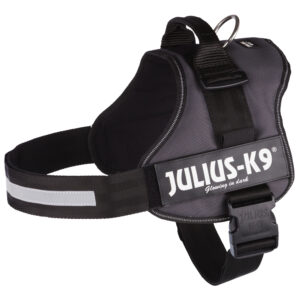 3 XL: 82-118 cm borstomvang - JULIUS-K9® Classic Hondentuig