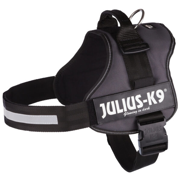 3 XL: 82-118 cm borstomvang - JULIUS-K9® Classic Hondentuig