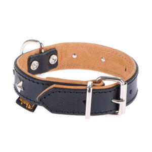 Maat 40: 26 - 37 cm halsomvang - Heim Leren Halsband Stars