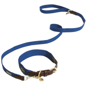 Nomad Tales Bloom set: halsband + lijn, sapphire XS + 120 cm hond