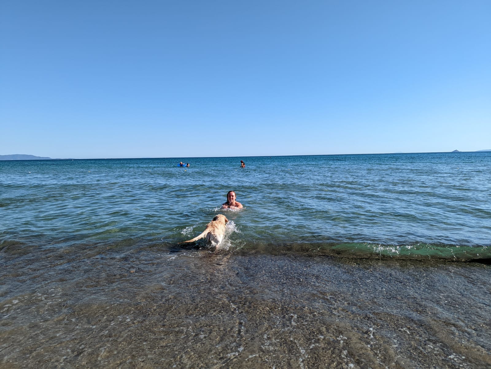 Vakantie met hond in Italië